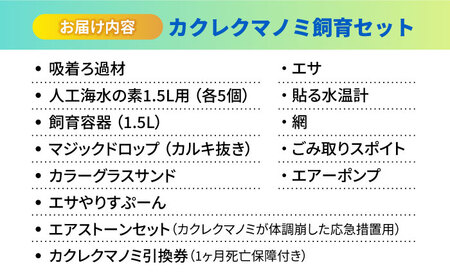 水槽 カクレクマノミ飼育セット（1ヶ月死亡補償付き）ボトルアクアリウムマリン2[BACD003]