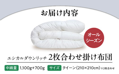 洗える 人工羽毛 2枚合わせ 掛け布団 クイーン エシカルダウンリッチ[BAAK056]掛け布団