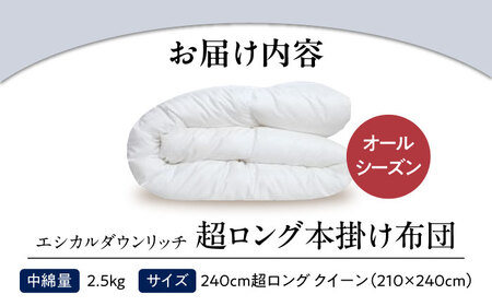 洗える 人工羽毛 240cm超ロング 掛け布団 クイーン [BAAK096]掛け布団