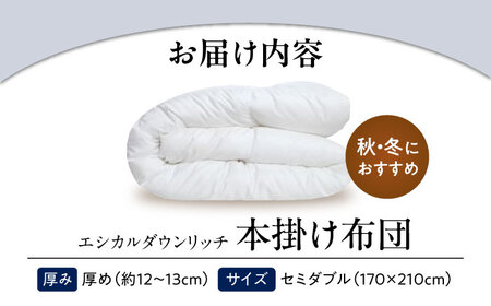 洗える 人工羽毛 本掛け布団 セミダブル [BAAK109]掛け布団