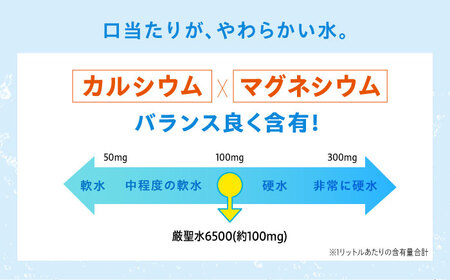 飲料 水 ミネラルウォーター 巌聖水6500 500ml×24本 広島県福山市/小林商事 ミネラルウォーター ペットボトル 500ml 24本 保存用 備蓄 防災 [BAEA012]