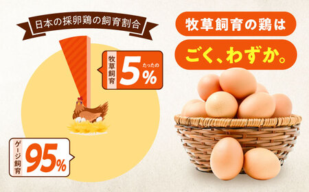 天心山たまご 20個 [BABW003]たまご