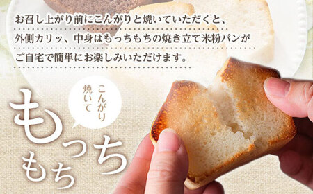 グルテンフリー 米粉パンの2種（プレーン、チョコ＆ココア）計4本 食べ比べセット[BACW012]パン