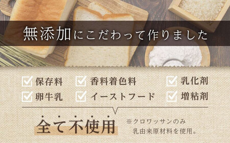 グルテンフリー 米粉パン（チョコ＆ココア）2本[BACW016]パン