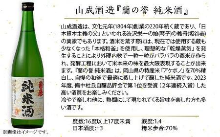 【びんご圏域連携】 備後の日本酒 純米酒 飲み比べセット [BADI002]