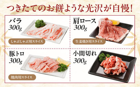 豚肉バラエティセット約1,200g [BAER012] 豚肉