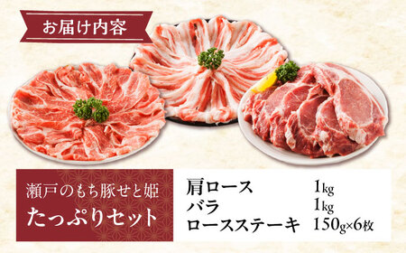 豚肉たっぷりセット約2.9kg [BAER024] 豚肉