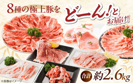 豚肉スペシャルセット約2,560g [BAER028] 豚肉