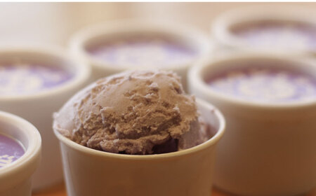 沼南ミルクジェラート 沼隈ぶどう６個 [BAEC005]ジェラート