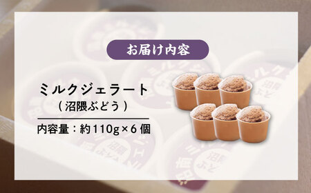 沼南ミルクジェラート 沼隈ぶどう６個 [BAEC005]ジェラート