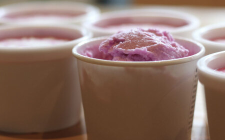 沼南ミルクジェラート 赤しそ ６個 [BAEC004]ジェラート