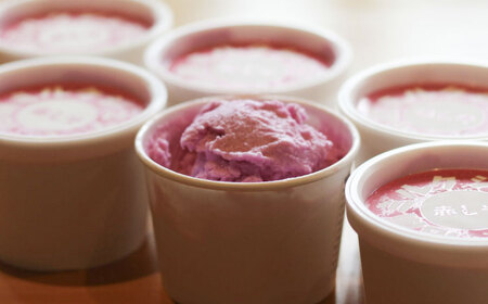 沼南ミルクジェラート 赤しそ ６個 [BAEC004]ジェラート