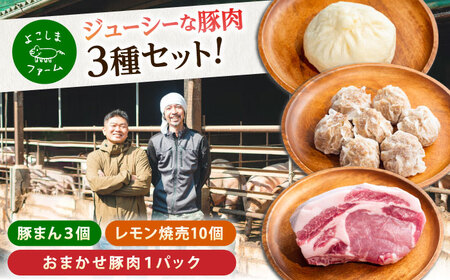 惣菜 豚まん・瀬戸田のレモン焼売・おまかせ豚肉セット 各1パック（180g-280g） [BABT001]