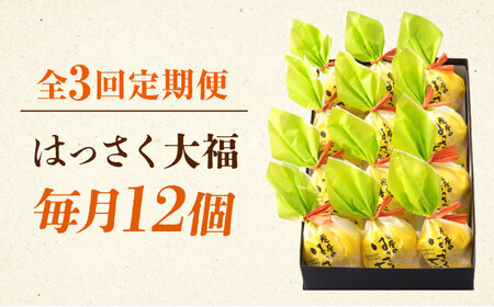 【3回定期便】和菓子 はっさく大福12個入 [BADH014]和菓子