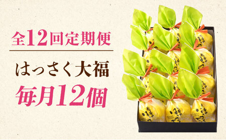 【12回定期便】はっさく大福12個入 [BADH016]大福