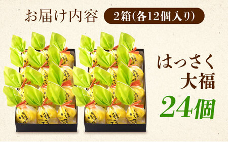 はっさく大福12個入×2 [BADH017]大福