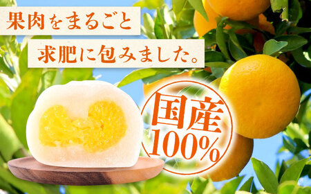 銘菓 はっさく大福16個入 [BADH025] 福山銘菓