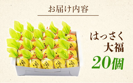 和菓子 はっさく大福 20個入 [BADH029] 和菓子