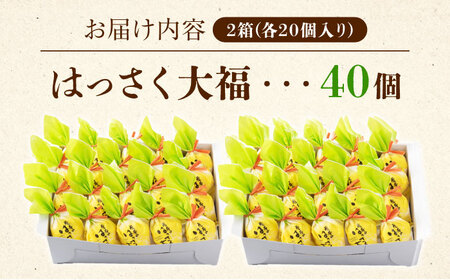 スイーツ はっさく大福 40個 [BADH033] スイーツ