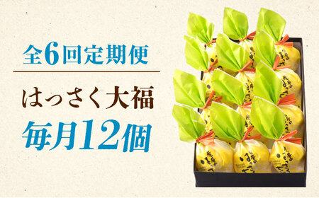 【6回定期便】はっさく大福12個入 [BADH015]大福