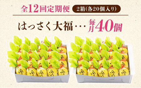 【12回定期便】はっさく大福20個入×2 [BADH036]大福