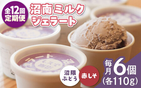【全12回定期便】沼南ミルクジェラート 沼隈ぶどう＆赤しそ　各3個 [BAEC048]ジェラート