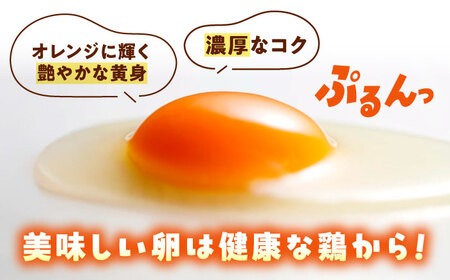 天心山たまご 30個 [BABW013] たまご 卵