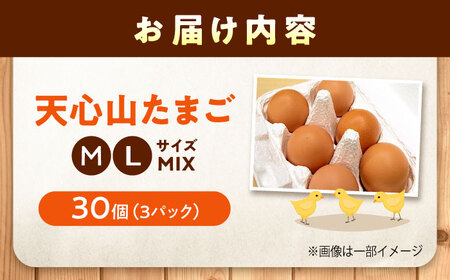 天心山たまご 30個 [BABW013] たまご 卵