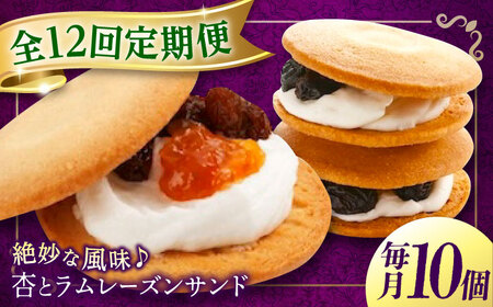 【全12回定期便】お菓子  杏とラムレーズンサンド 10個入り[BAFL017]お菓子
