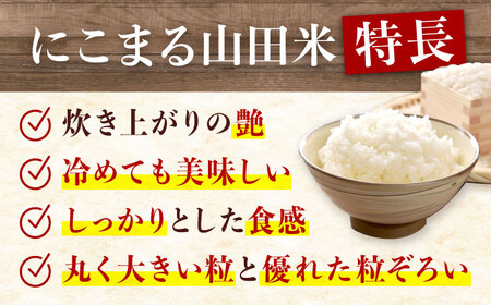 新米 令和7年産 にこまる10kg [BAFU001] 新米