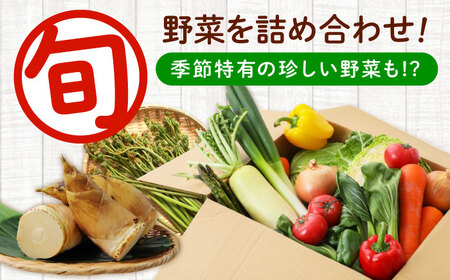 おまかせ野菜セット 4人用 [BAFW001] 野菜詰合せ