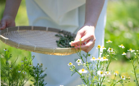 五感で感じるハーブティセット ハーブ ハーブティー ビタミン ハイビスカス ローズ オレンジ マロウ バーベナ レモングラス カモミール 和薄荷 　広島県福山市/株式会社Herbal Style[BAFV003]
