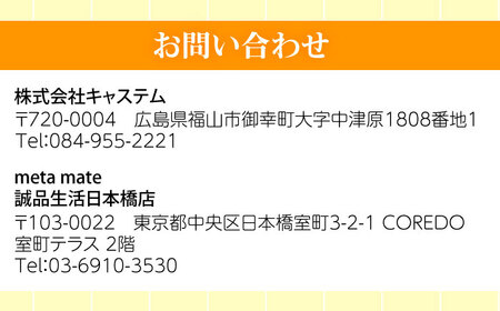 オリジナル 3Dフィギュア製作 広島県福山市/株式会社キャステム フィギュア 3Dスキャン [BACE012]