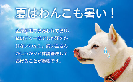 ネックールわんこ（2個セット）[BACL008] 犬用