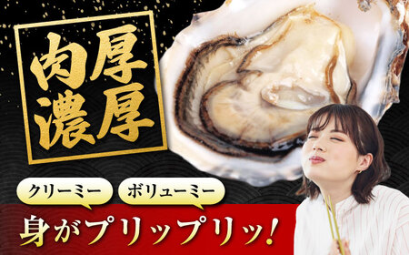 冷蔵牡蠣 うつみ牡蠣小町 約4.5kg  [BAAQ008]