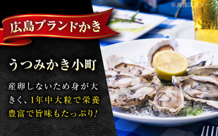 冷蔵牡蠣 うつみ牡蠣小町 約4.5kg  [BAAQ008]