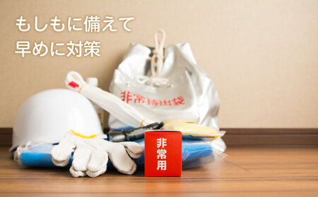 携帯ミニトイレ プルプルS 2個入（×5セット）[BACL005] 携帯トイレ