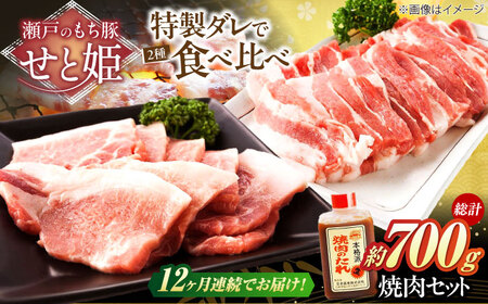 【全12回定期便】冷凍 「瀬戸のもち豚せと姫」焼肉セット計約700g  (バラ400g・ロース300g・自家製焼肉のタレ) [BAER052]焼肉