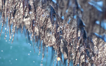 田島海苔師の焼海苔 5袋入り[BABD008] のり