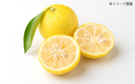 【全6回定期便】ちりめん 甚ごろうのちりめん柚子 1袋 （60g×1袋） [BAEC069]ちりめん