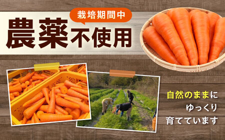 人参 3kg [BAGT003] 人参