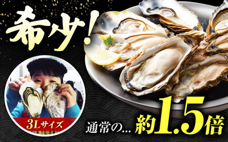 冷蔵牡蠣 うつみかき小町 約2kg [BAAQ006]牡蠣