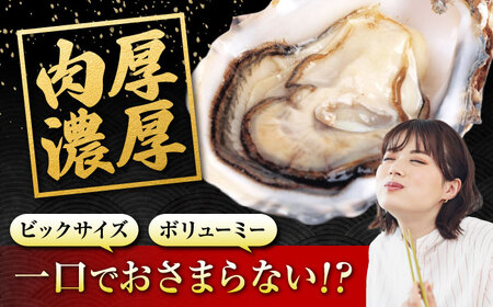 冷蔵牡蠣 うつみかき小町 約2kg [BAAQ006]牡蠣