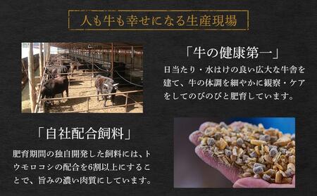 ＼寄附額改定／　「なかやま牧場」黒毛和牛ギフト（ロースステーキ）〈S〉【ブランド牛 銘柄牛 なかやま牛 肉 牛肉 ステーキ ギフト 贈り物 贈答 広島県 福山市 黒毛和牛 ステーキ 黒毛和牛 ステーキ 黒毛和牛 ステーキ 黒毛和牛 ステーキ 黒毛和牛 ステーキ】