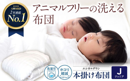 洗える 人工羽毛 掛け布団 〈ジュニア〉[BAAK029]掛け布団