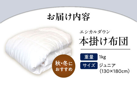 洗える 人工羽毛 掛け布団 〈ジュニア〉[BAAK029]掛け布団