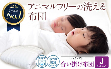 洗える 人工羽毛 合い掛け布団 〈ジュニア〉[BAAK032]キッズ 掛け布団 10,640円