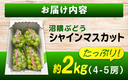 沼隈ぶどう「シャインマスカット」約2kg [BAEV004]シャインマスカットシャインマスカットシャインマスカットシャインマスカットシャインマスカット