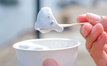 鞆の浦限定ご当地《ちりめん塩アイス》 100ml×6個 [BAFO002]アイス