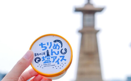 鞆の浦限定ご当地《ちりめん塩アイス》 100ml×6個 [BAFO002]アイス